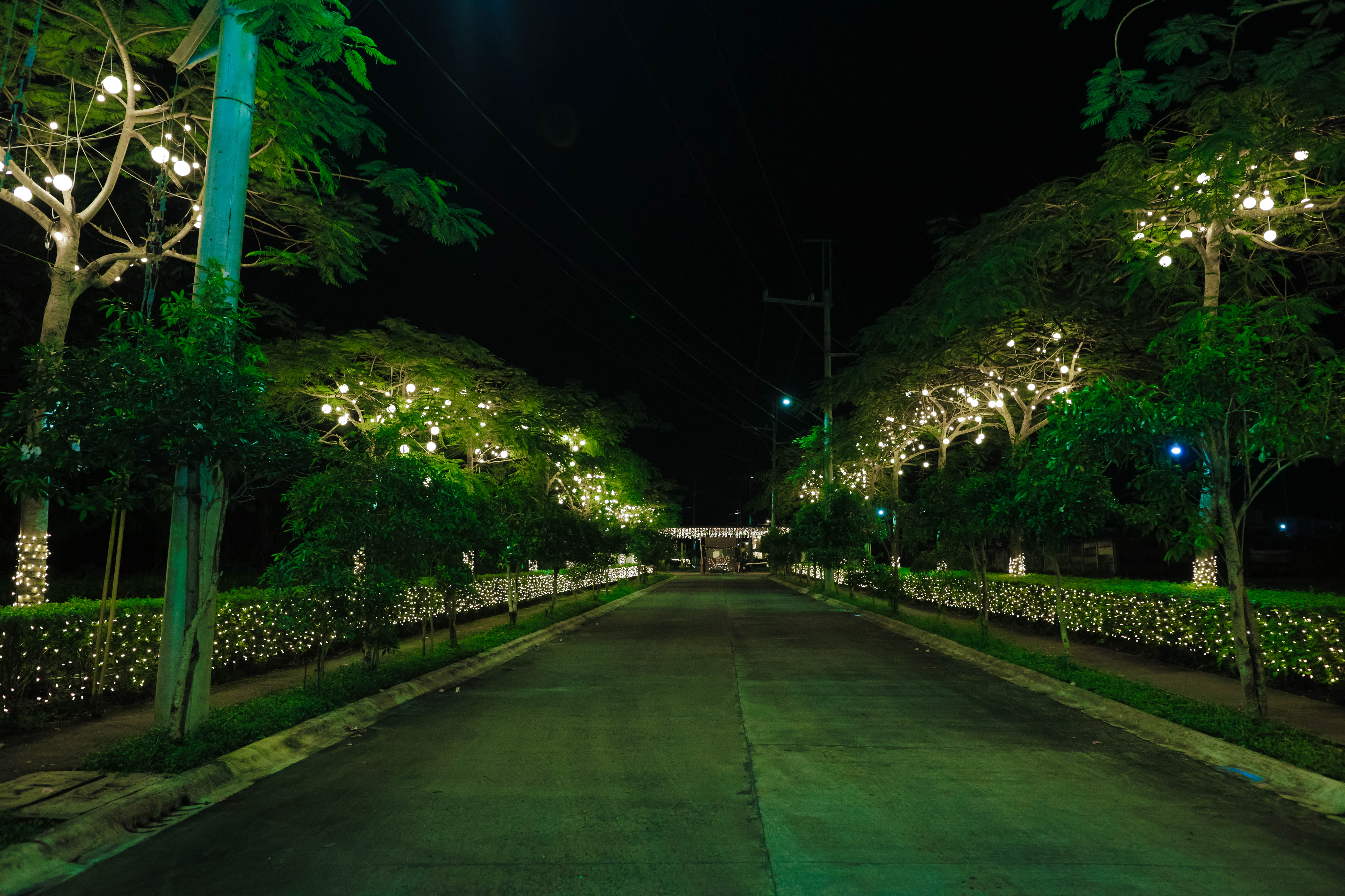 SA 2025 Christmas lighting 2