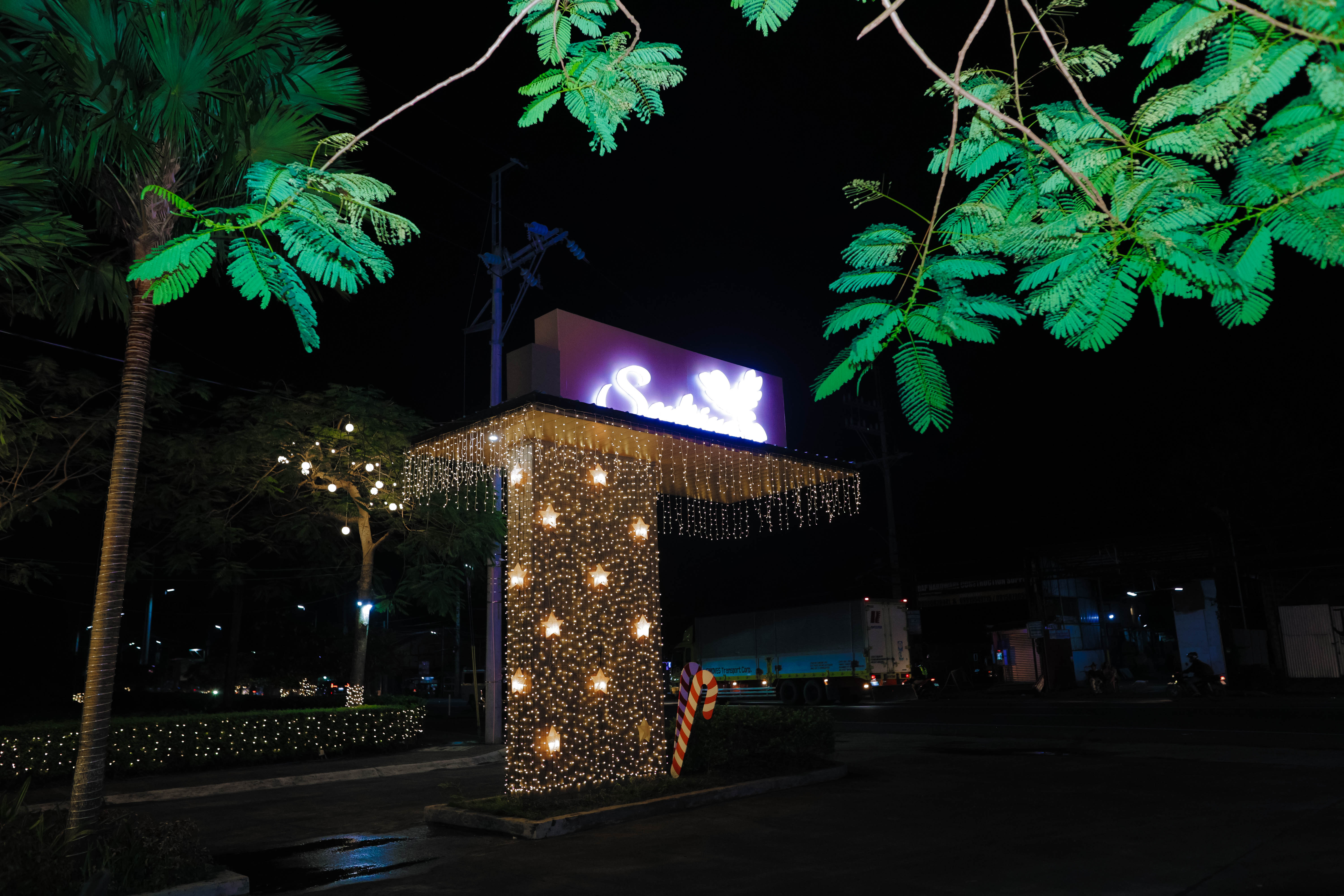SA 2025 Christmas lighting 3