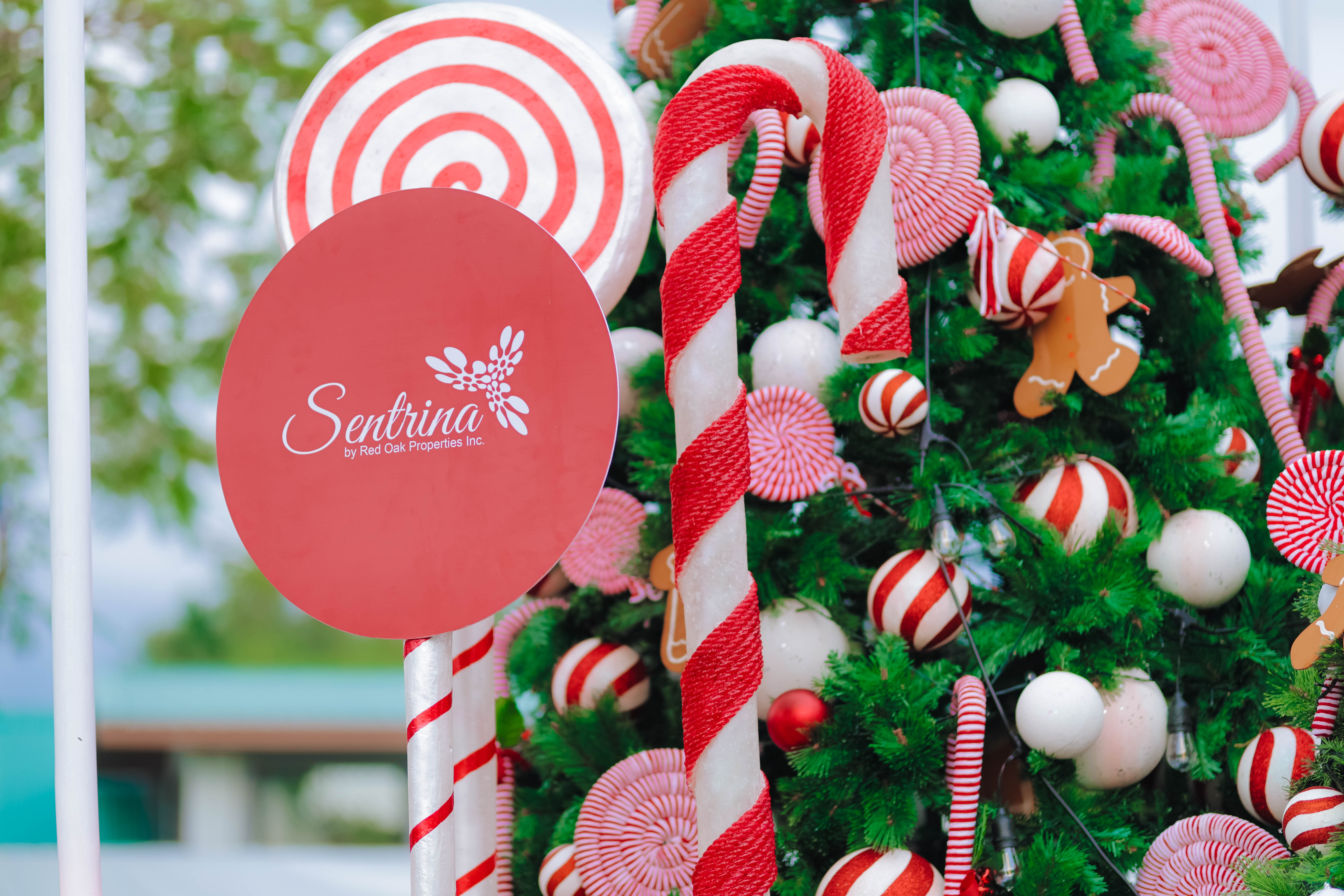 SA 2025 Christmas lighting 1