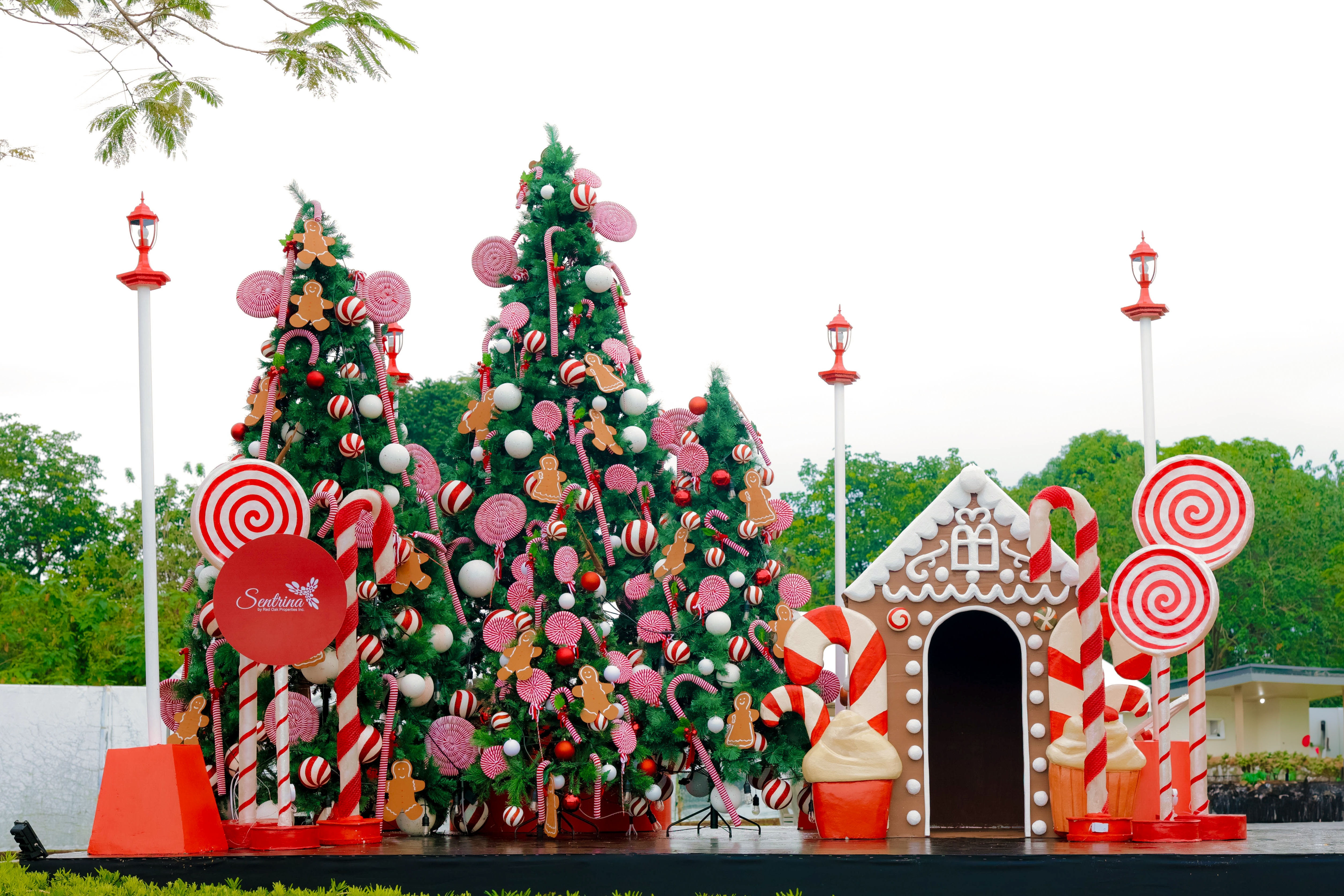 SA 2025 Christmas lighting 6