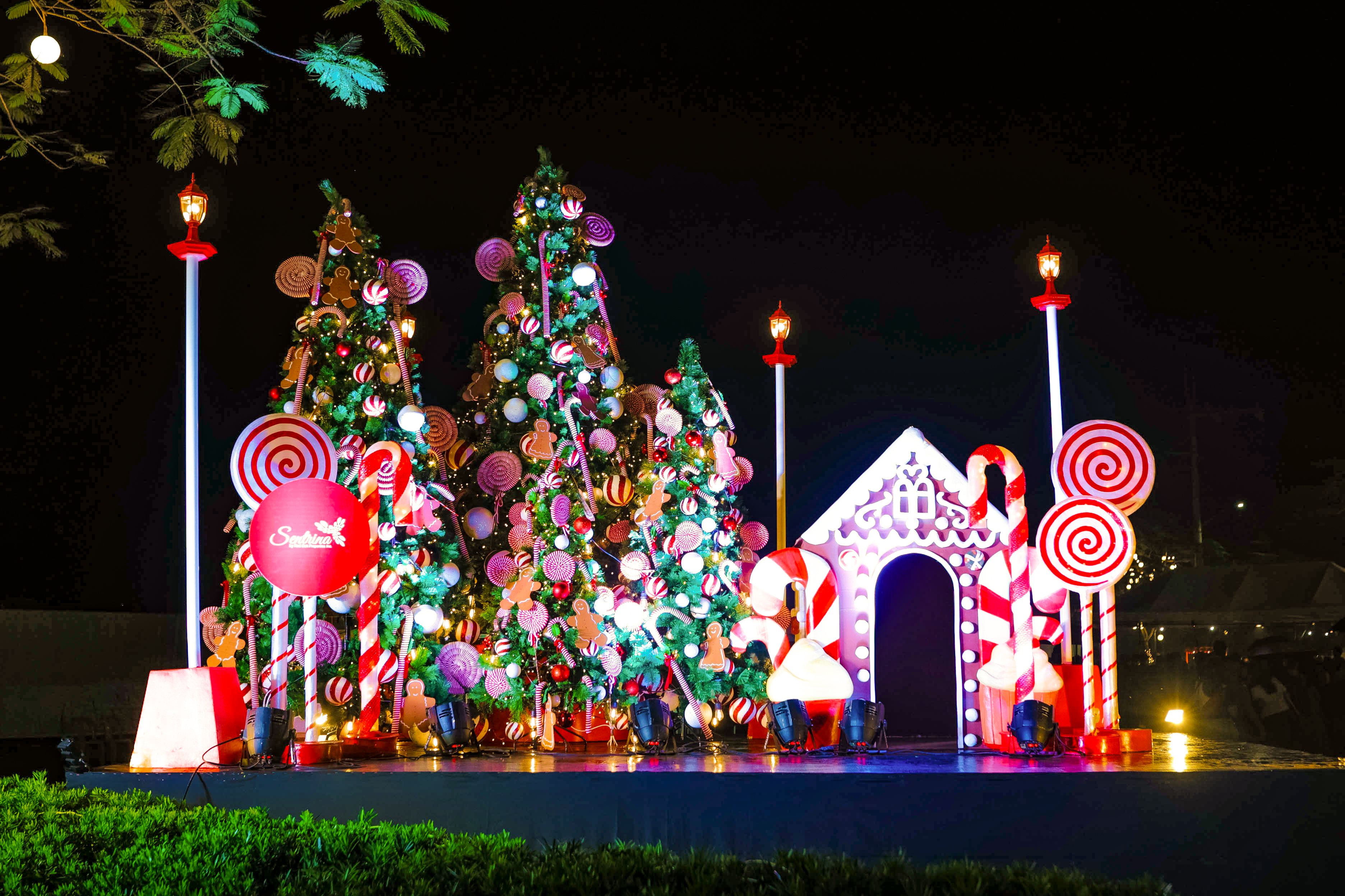 SA 2025 Christmas lighting 7