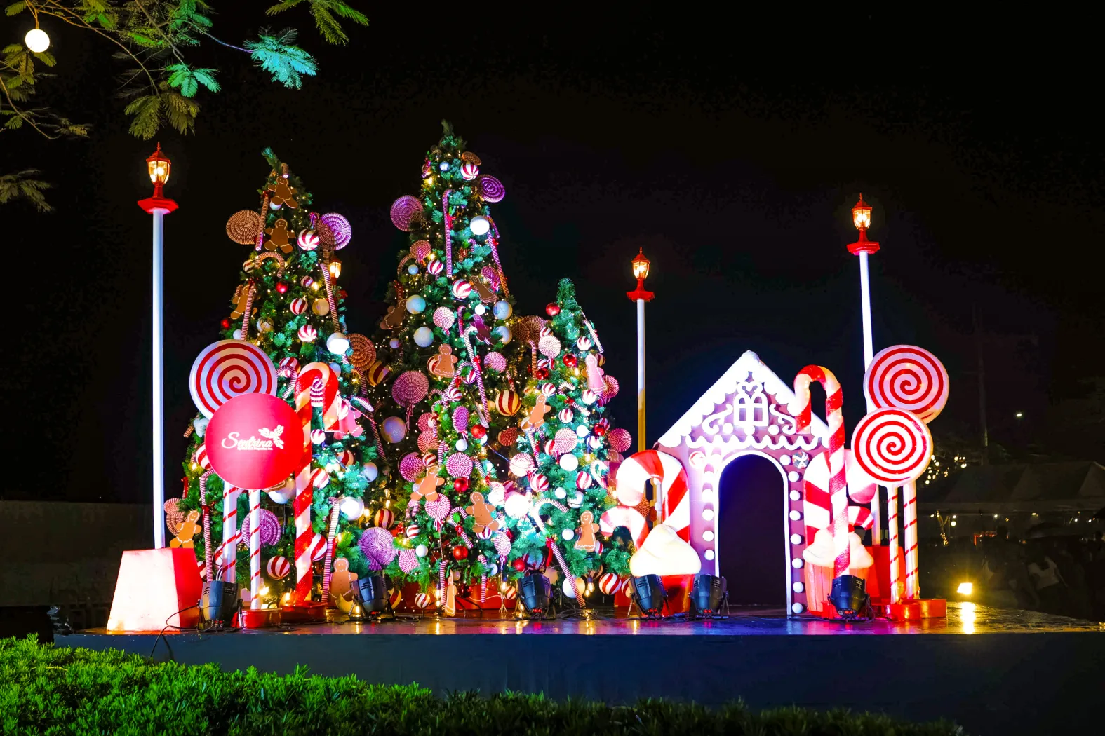 SA 2025 Christmas lighting 7